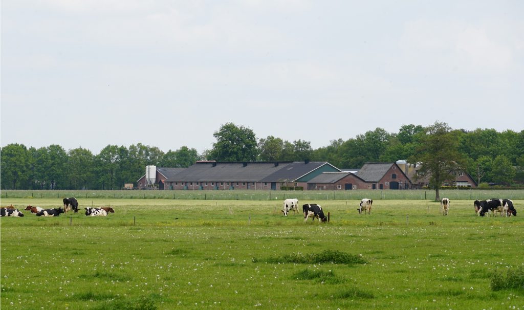 Provinciale regeling gerichte opkoop veehouderijen bekendgemaakt