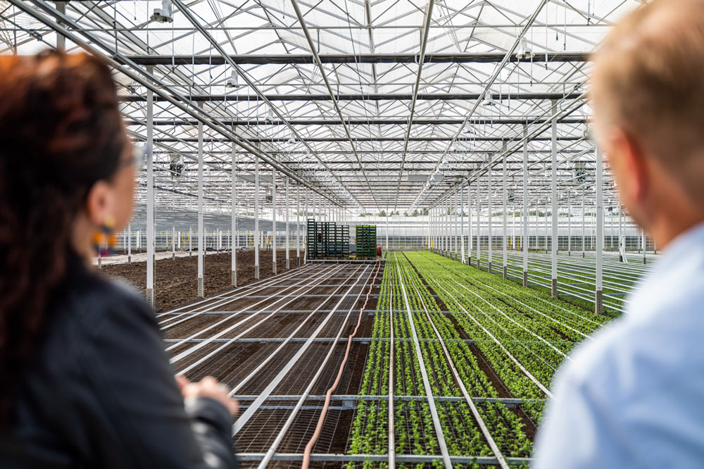 ‘Doordat ze teruggrijpen op verschillende juridische uitspraken, sta je als partij veel sterker’