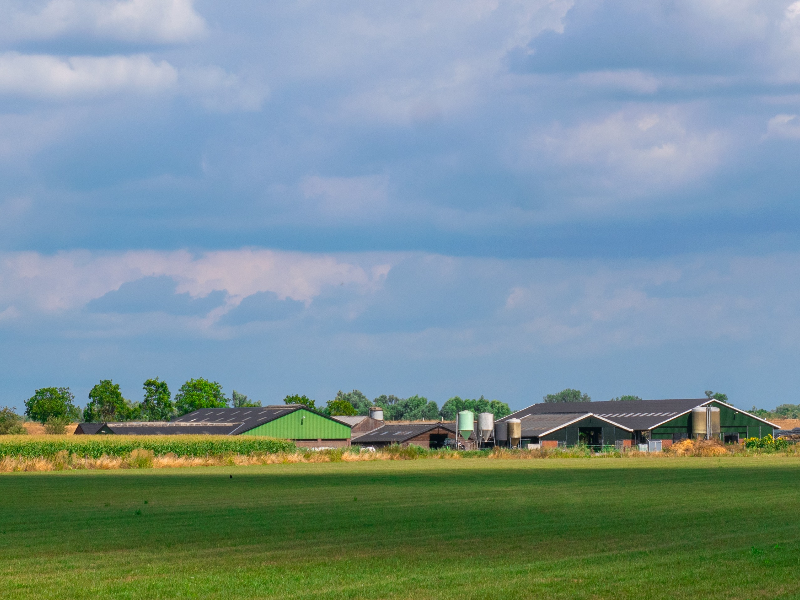 Nieuwe regels tasten rechten stikstof en ammoniak aan