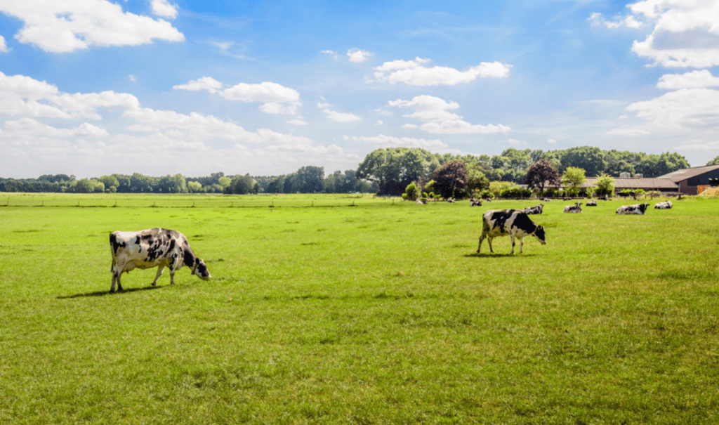 Is de afstandsgrens van 25 kilometer juridisch houdbaar?