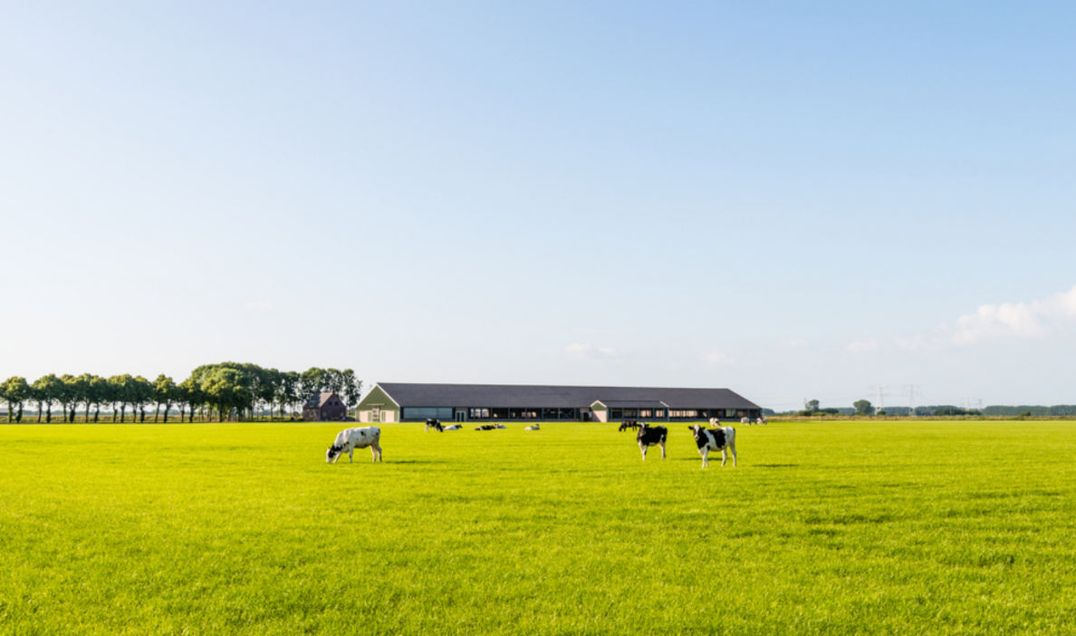 Nederland zet eerste stap naar nieuwe vergunningverlening
