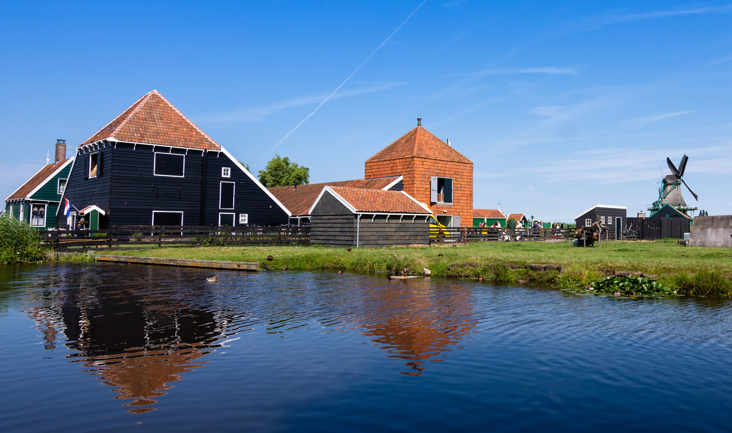 Saneringsregeling varkenshouderij combineren met Rood voor Rood
