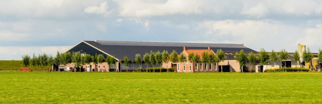 Voorkom fiscale kater na Rood voor Rood-traject