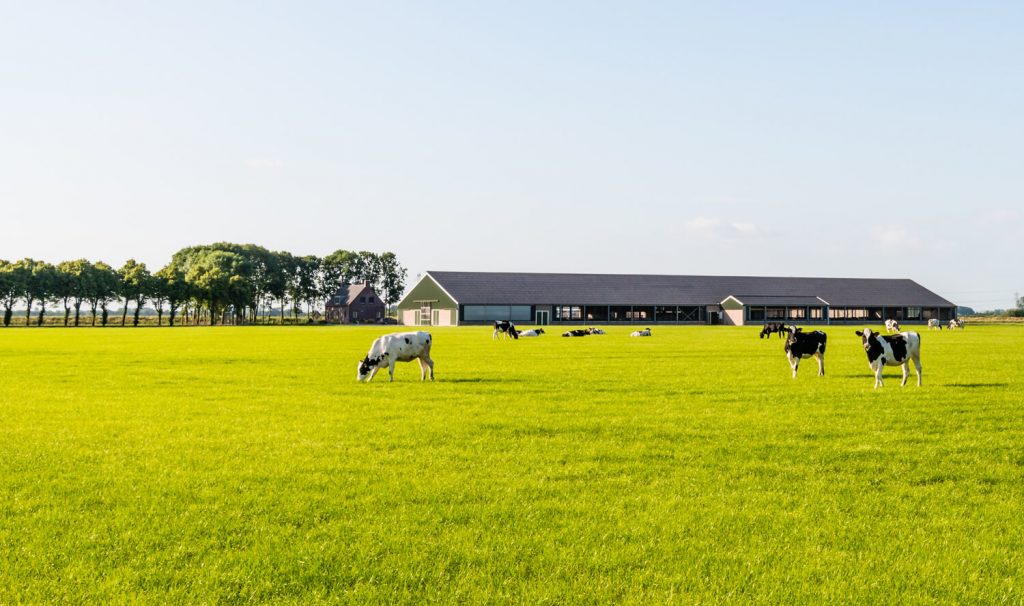 Maatregelen kabinet: reductie stikstof en natuurverbetering