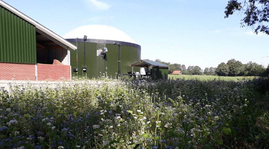 Monomestvergisting: wat heb je hiervoor nodig?