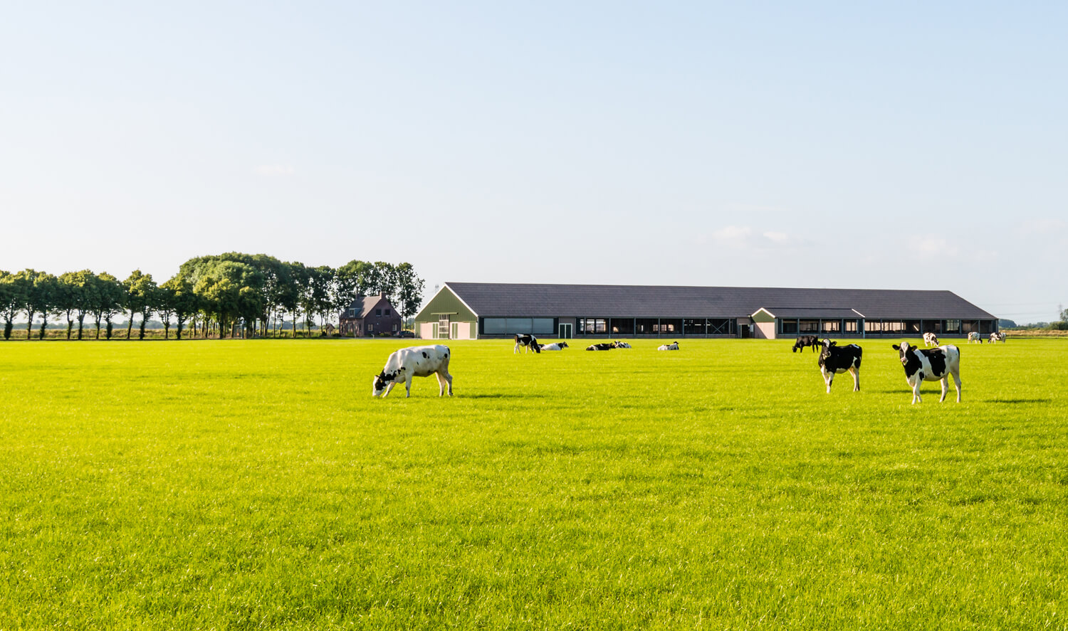 Nog steeds onzekerheid bij PAS-melders