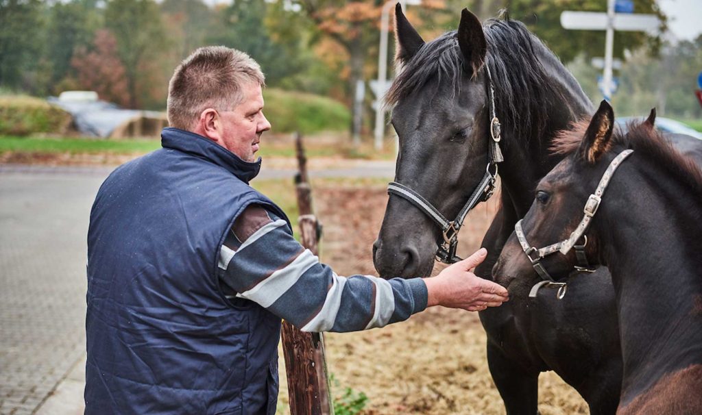 Vergunningen paardenhouderij: heb je je vergunningen op orde?
