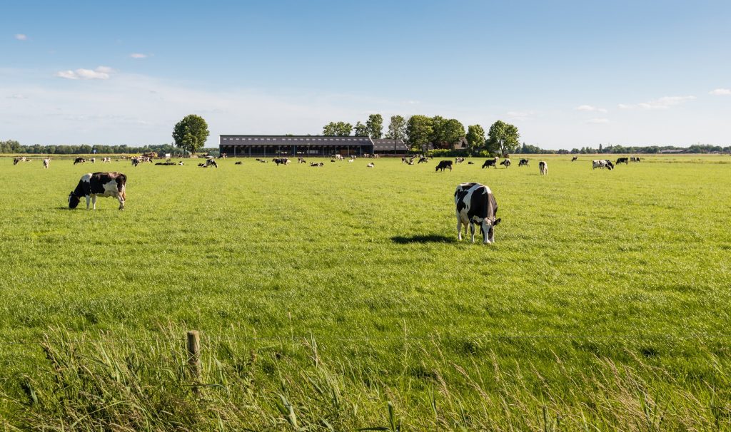 Bezoek ons op de Rundvee & Mechanisatie Vakdagen