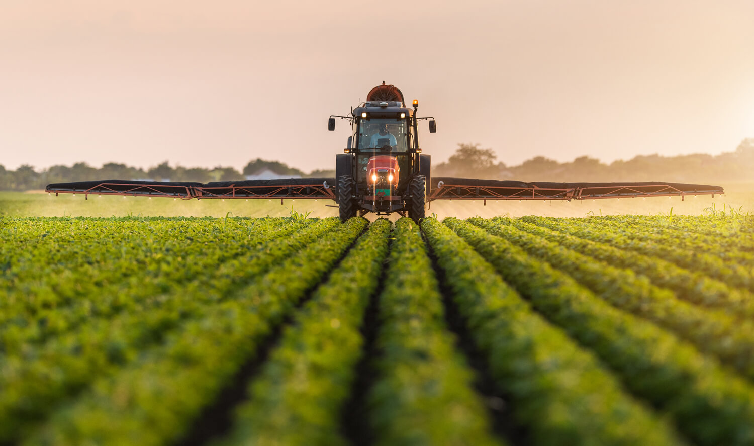 Aangepaste mer beoordeling vertraagt vergunningverlening veehouderij