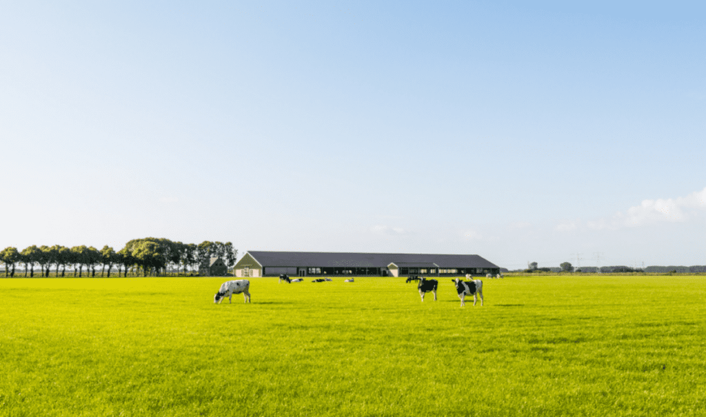 Positieve weigering: net zo rechtsgeldig als de natuurvergunning?