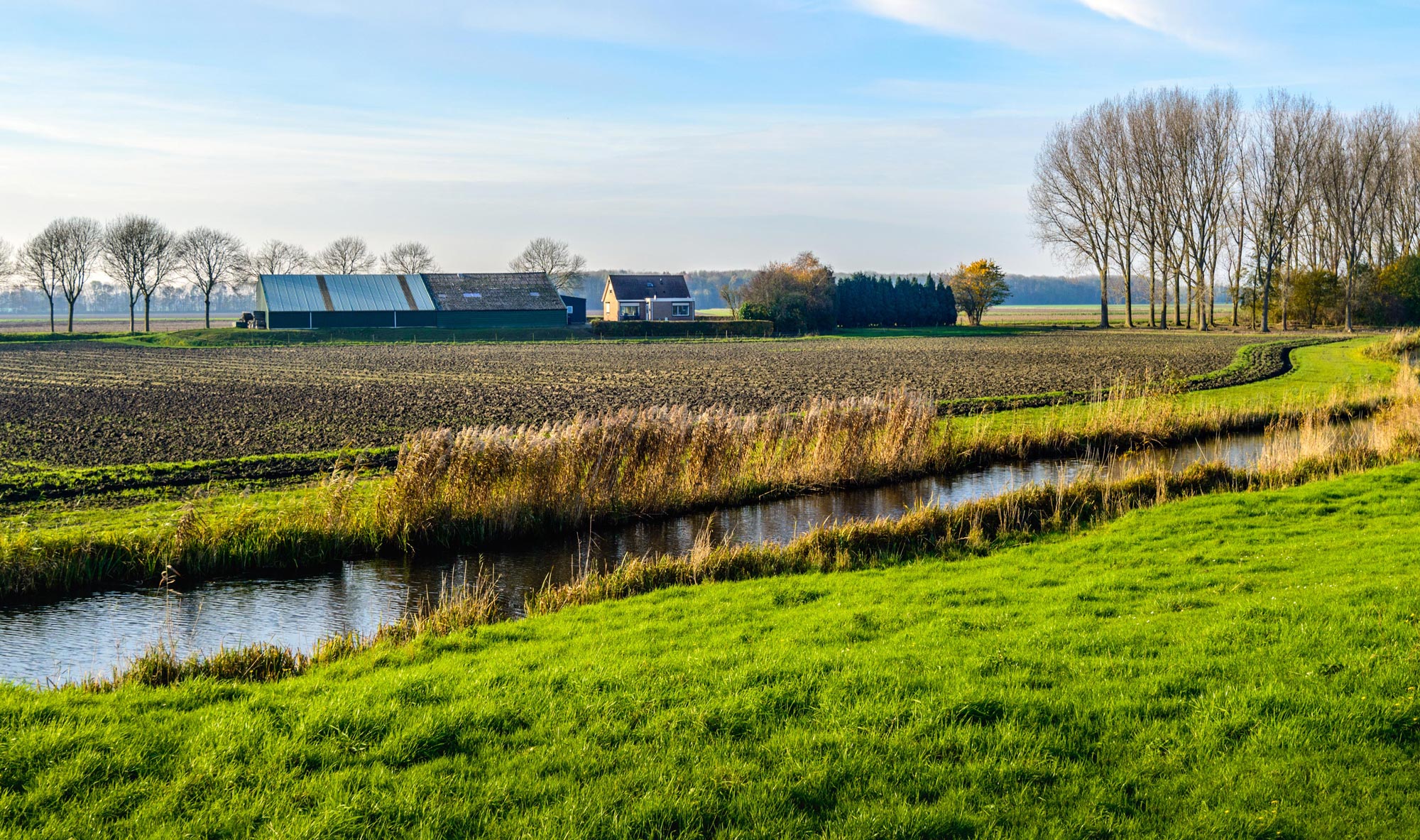 Handhaving PAS-melders gestart: wat nu?