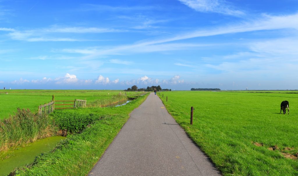 Stikstofregistratiesysteem biedt geen ruimte voor agrarische bedrijven