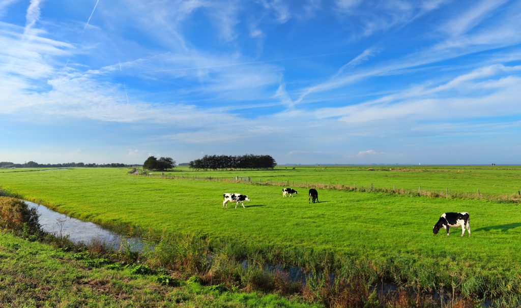 Uitspraken rechtszekerheid positieve weigering zorgen voor meer onzekerheid