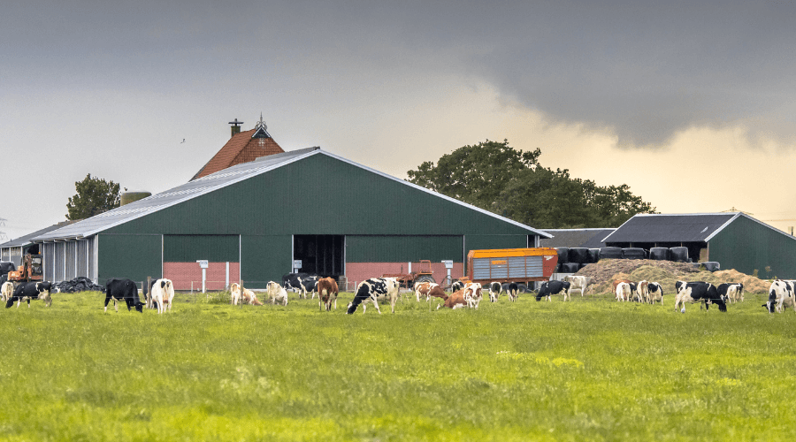 Opkoopregeling LBV+ langer opengesteld