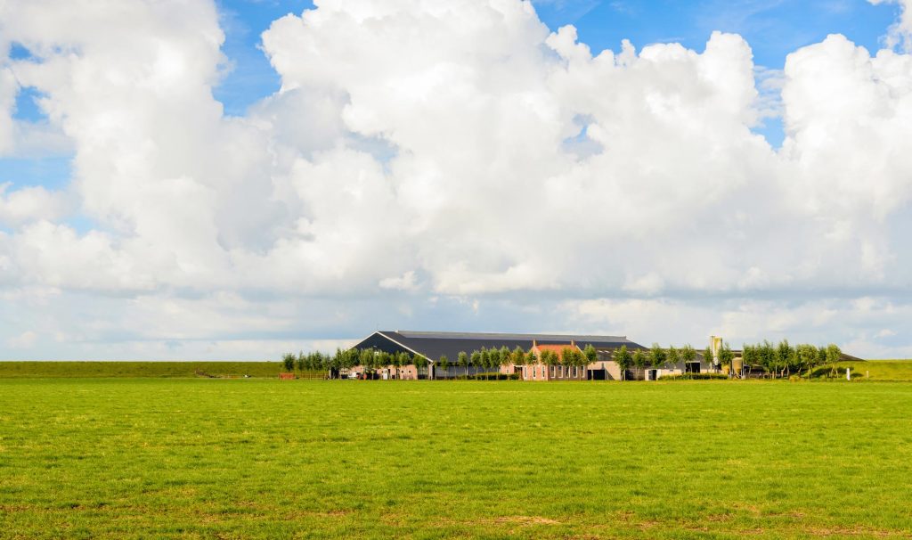 Stikstof: van landelijke naar gebiedsgerichte aanpak