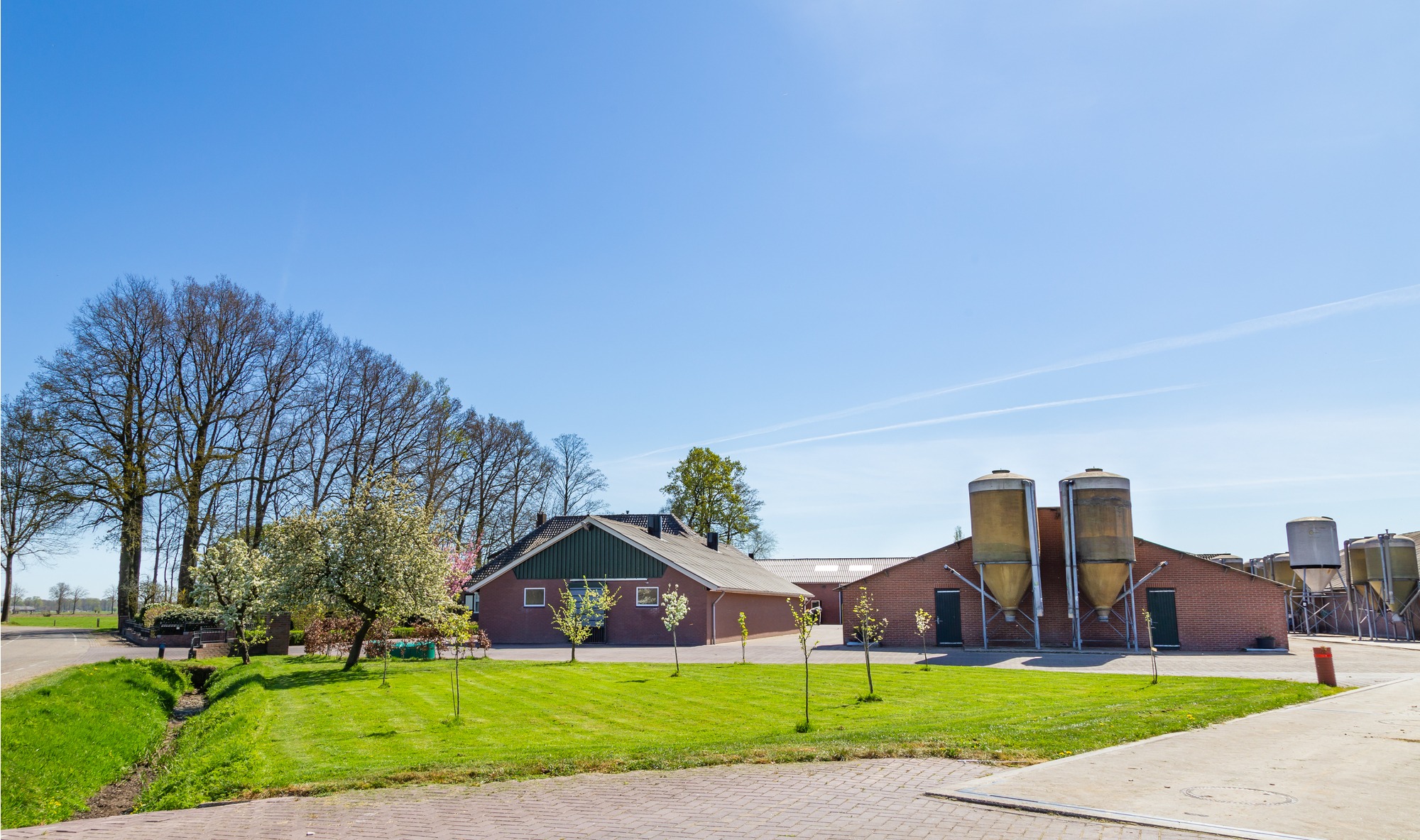 Addertje onder het gras bij Ruimte voor Ruimte in Brabant?