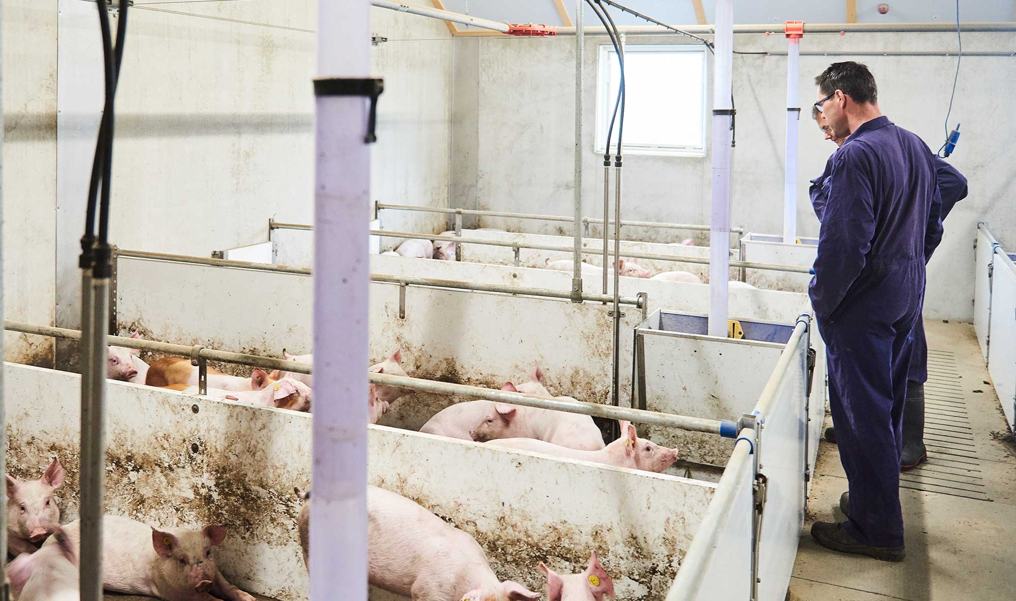 ‘De regels zijn complex, je ontkomt er niet aan om specialisten in te schakelen’