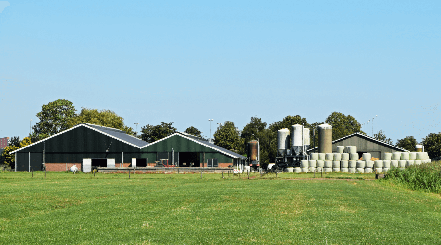 Nieuwe functies voor agrarische gebouwen: wat is er mogelijk?